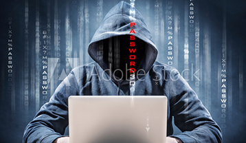 Information Technology, cyber crime, and e-commerce